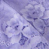 Violet tulip