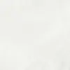 R white