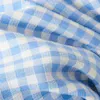 Blue gingham