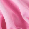 Begonia pink