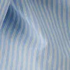 Blue/stripe