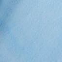 Blue bell (5429)