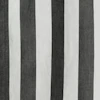 Black stripe