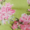 Pink climbing (2308)