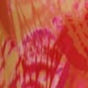 Butterfly/aop (1368)