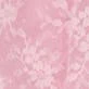 Pink lady
