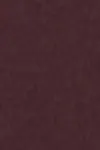Deep plum