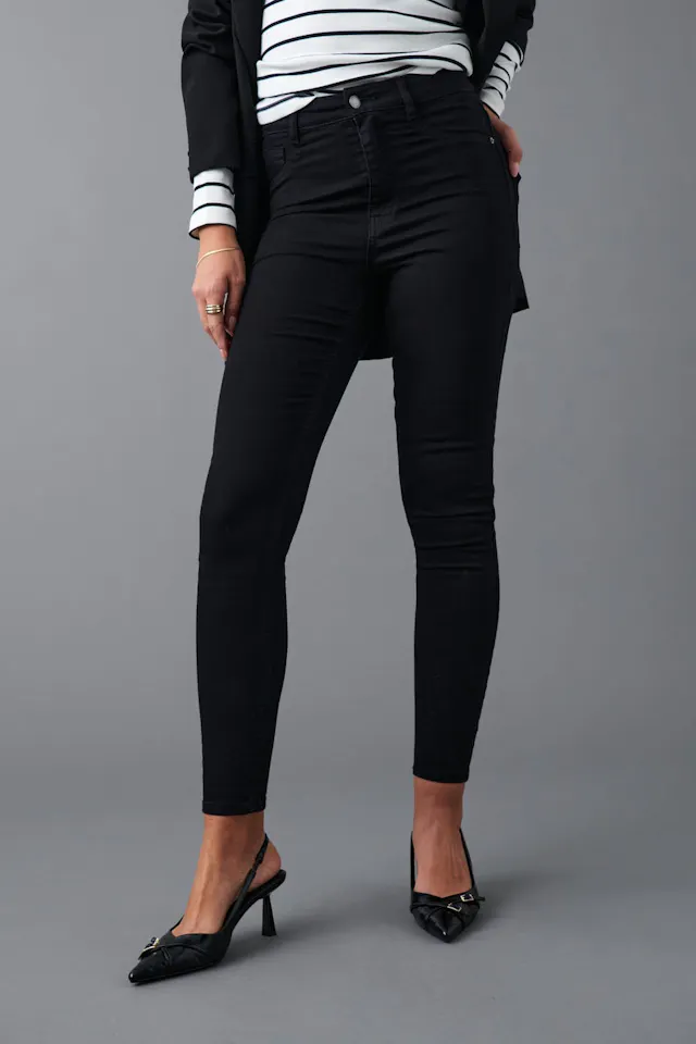 Dazzling Molly High Waist A-Line Fitted Skirt