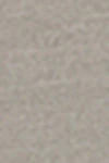 Elephant skin