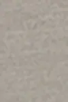Elephant skin