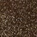 Brown/glitter