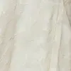 Egret