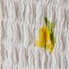 Lemon ditsy