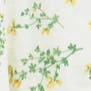 Butter flower
