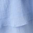 Brunnera blue (5435)