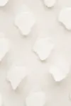 Creme