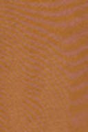 Roasted coconut (7090)