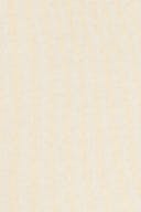 Vanilla yellow/edition (2022)