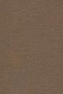 Falcon/studio (7021)