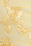 Anise flower
