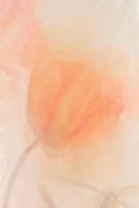 Watercolor aop (1314)