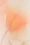 Watercolor aop