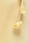 Anise flower