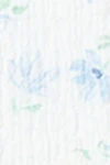 Blue flower