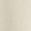 Pumice stone