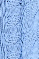 Brunnera blue (5435)