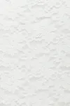 Offwhite