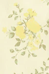 Yellow flower