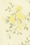 Yellow flower