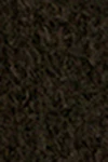 Chocolate brown