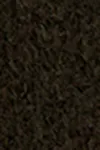 Chocolate brown