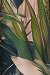 Jungle