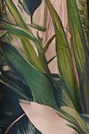 Jungle
