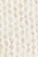 Gardenia (1496)