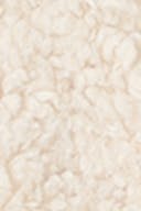 Cream (1047)