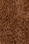 Roasted coconut