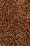 Roasted coconut