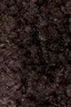 Mole