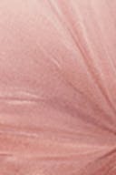 Raspberry rose (3128)