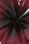 Dark red