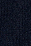 Navy blazer