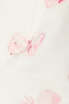 Butterfly/aop