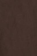 Dark brown (7180)
