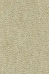 Lint