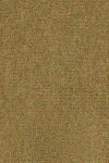 Fir green