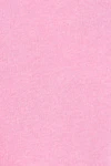 Begonia pink
